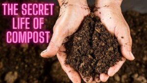 The Secret Life of Compost: Transforming Your Waste into Garden Gold